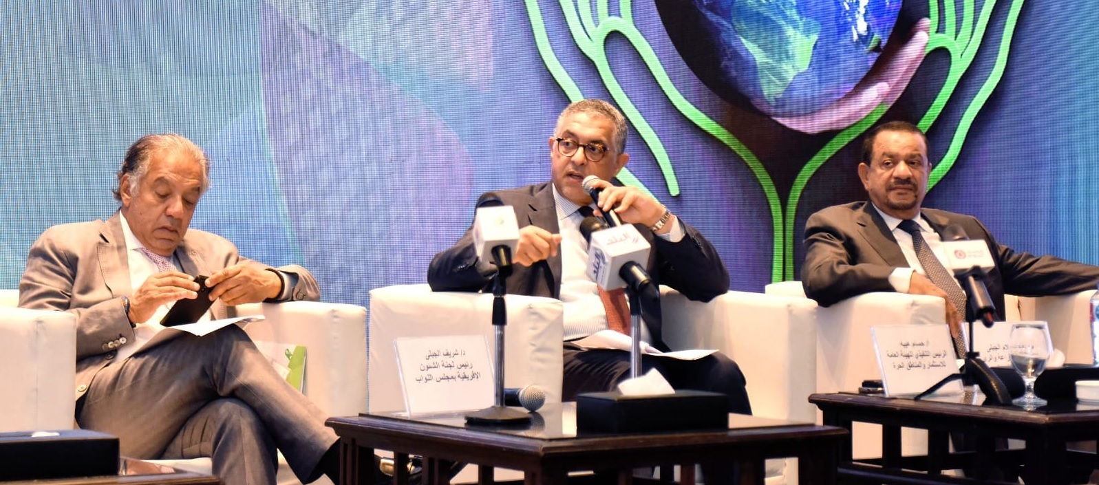 Green economy tops Egypt's priorities: Heiba


